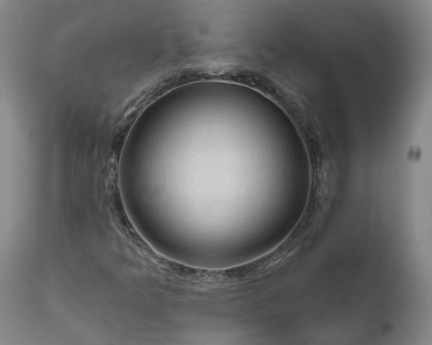 X0000111201349200907151403