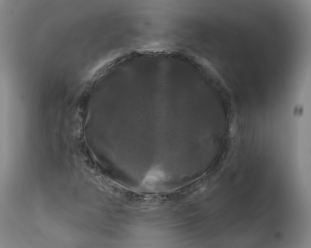 X0000111201350200907151403