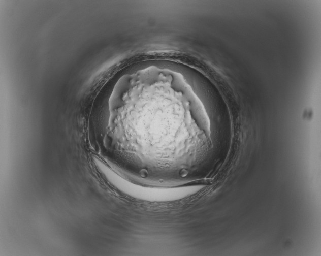 X0000111201351200907151403