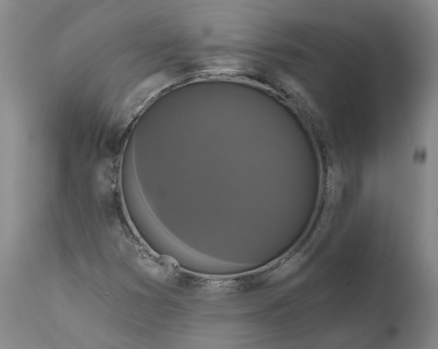 X0000111201353200907151403