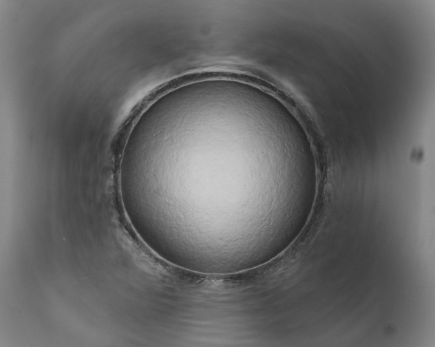 X0000111201360200907151403