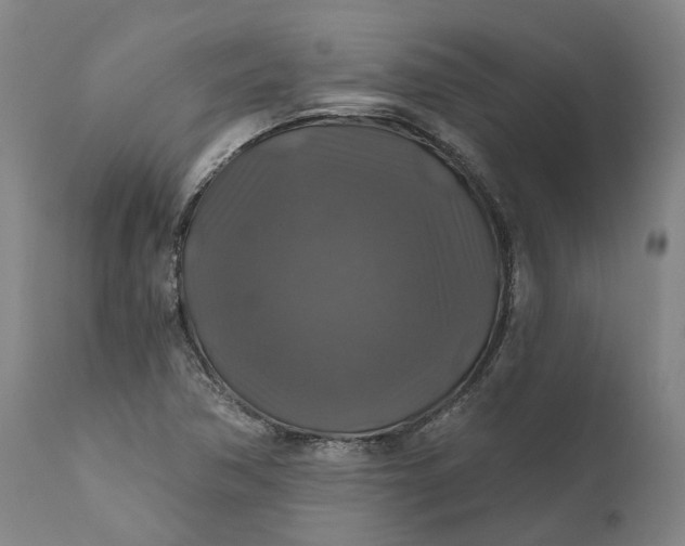 X0000111201362200907151403