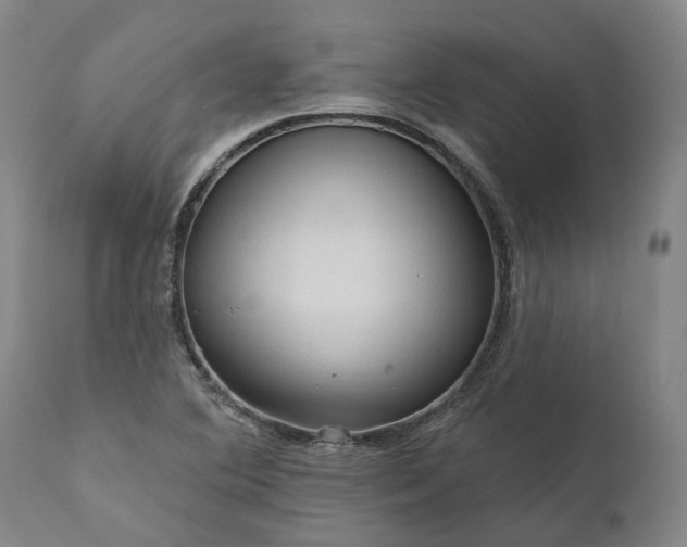 X0000111201364200907151403