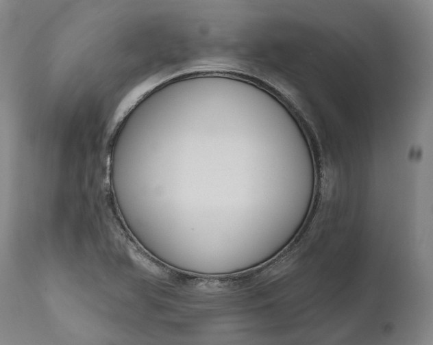 X0000111201366200907151403