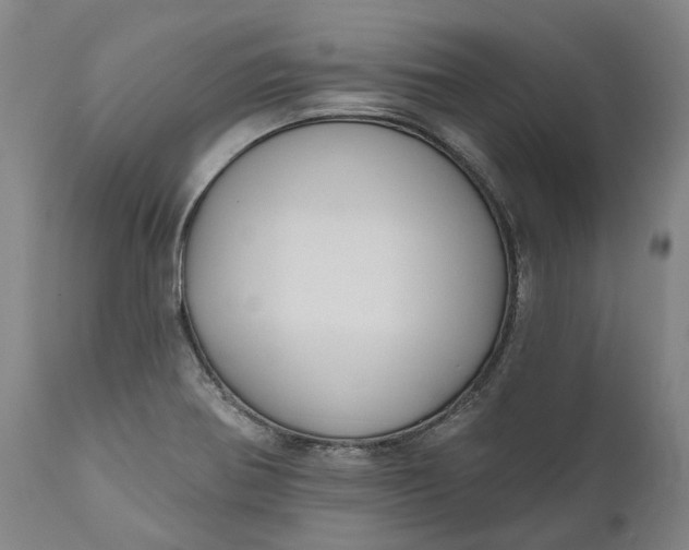 X0000111201370200907151403