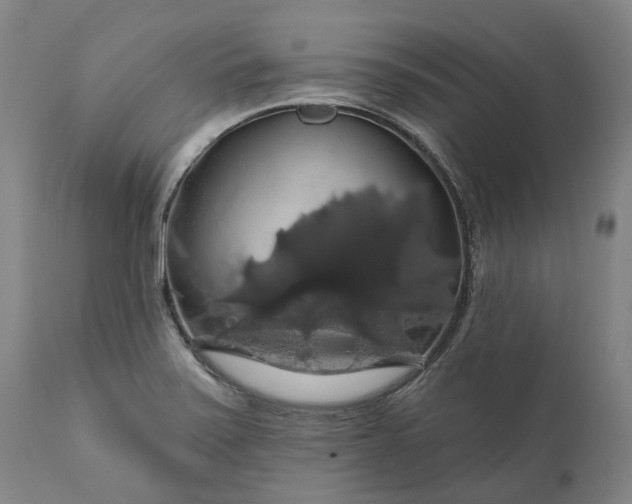 X0000111201371200907151403