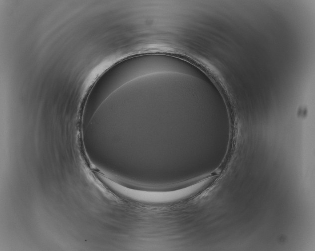 X0000111201373200907151403