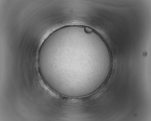 X0000111201374200907151403