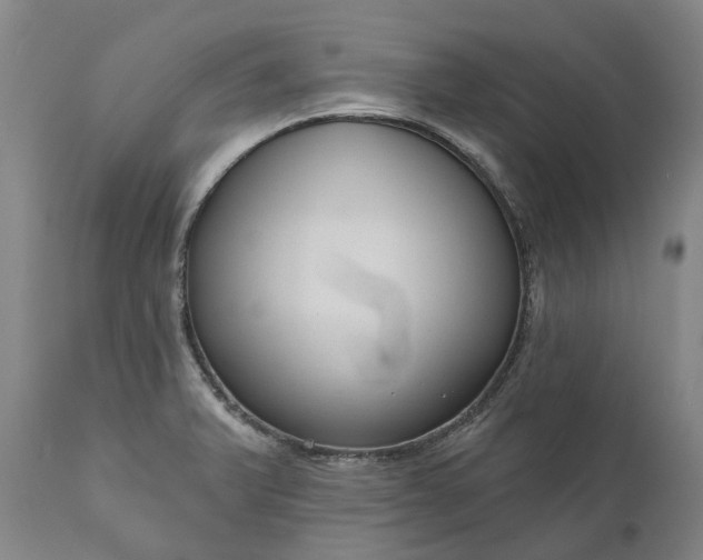 X0000111201375200907151403