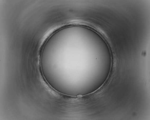 X0000111201376200907151403