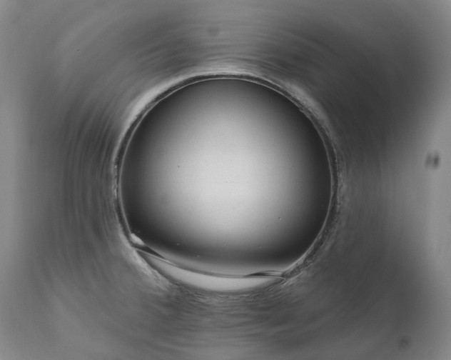 X0000111201380200907151403