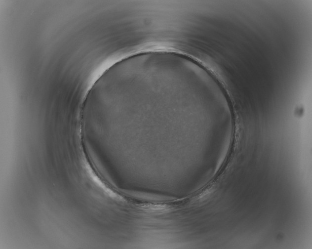 X0000111201382200907151403