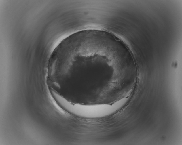 X0000111201383200907151403