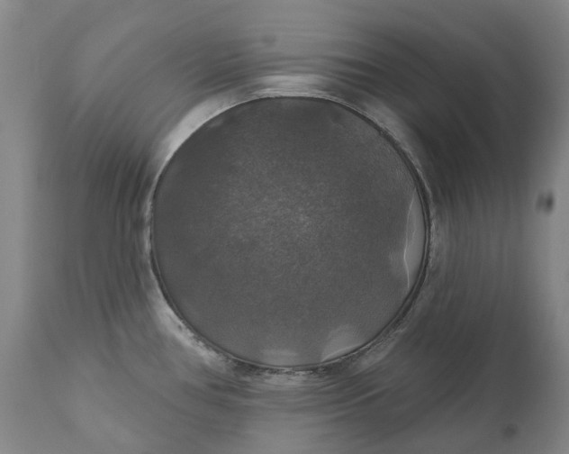 X0000111201386200907151403