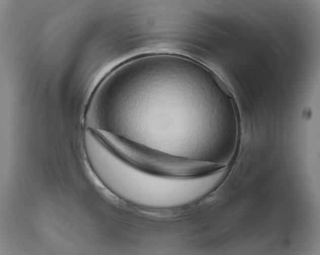 X0000111201388200907151403