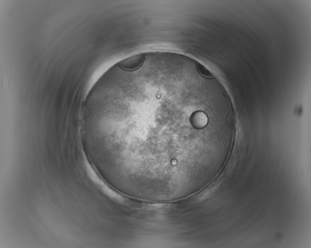 X0000111201390200907151403