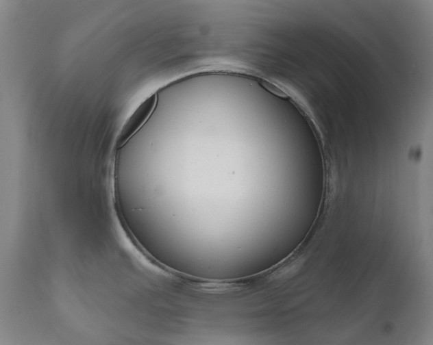 X0000111201391200907151403