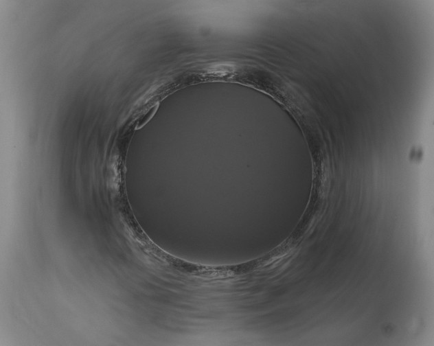 X0000111201394200907151402