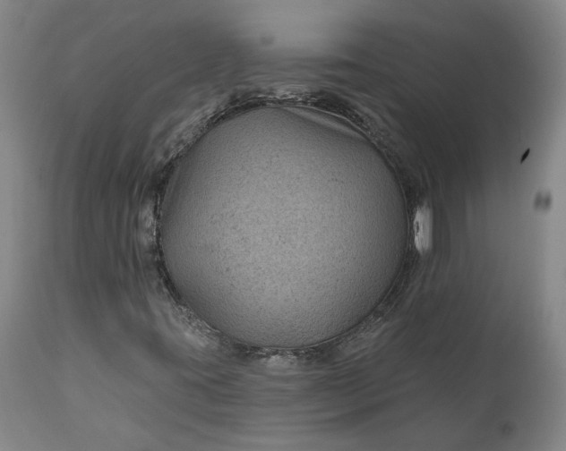 X0000111201395200907151402