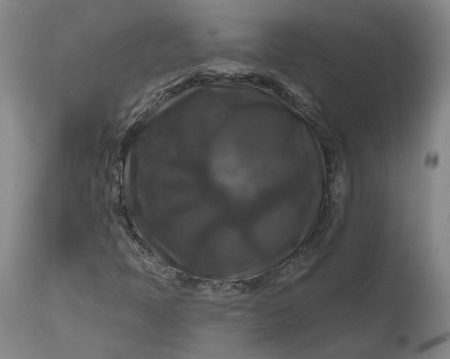 X0000111201397200907151402