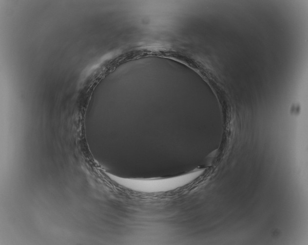 X0000111201398200907151402