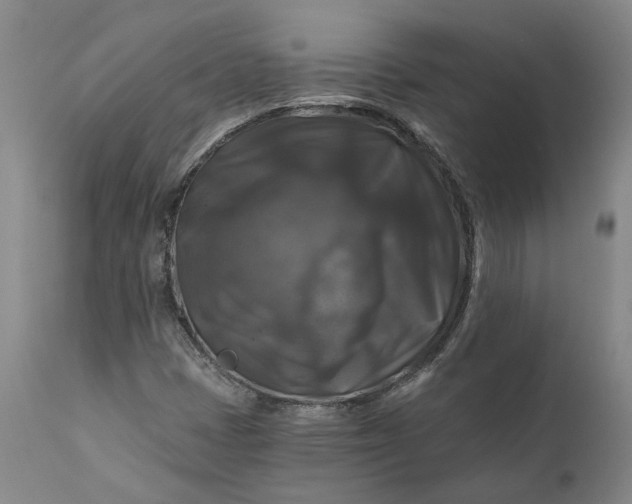 X0000111201401200907151402