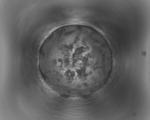 X0000111201415200907151402