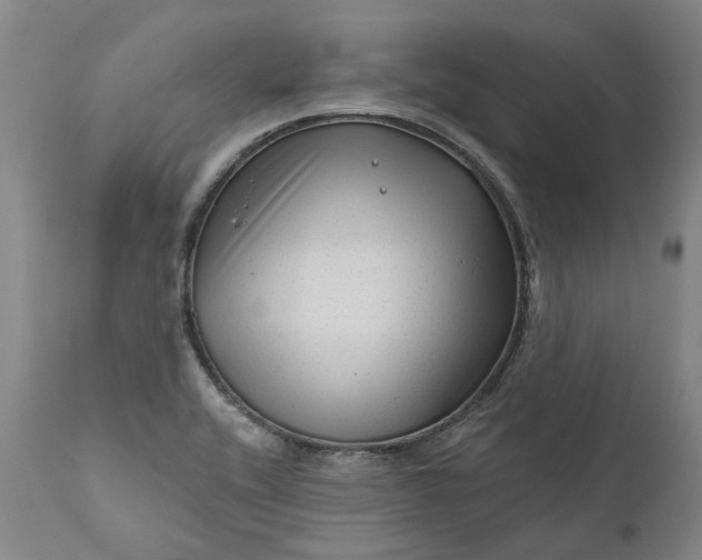 X0000111201416200907151402