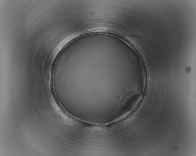 X0000111201418200907151402