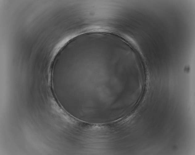 X0000111201419200907151402