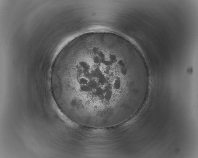 X0000111201421200907151402