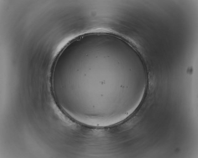 X0000111201422200907151402