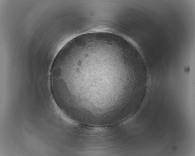 X0000111201423200907151403