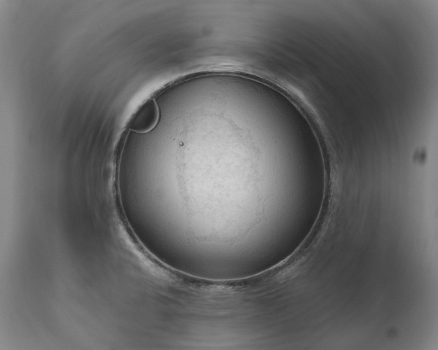 X0000111201424200907151403