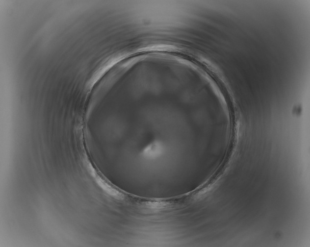 X0000111201425200907151403