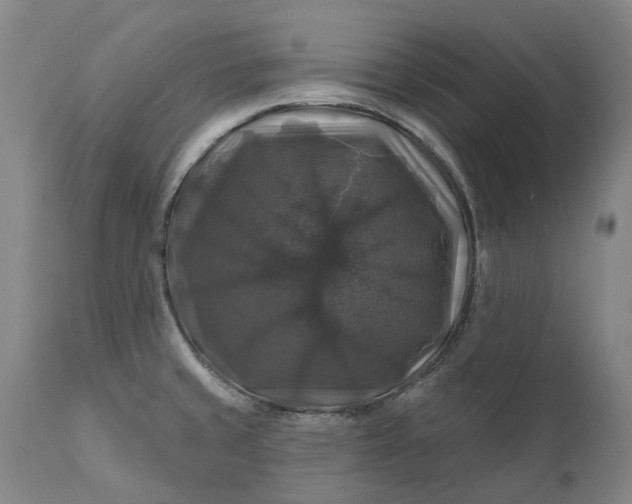 X0000111201429200907151403