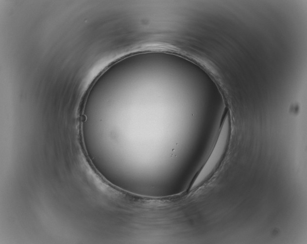 X0000111201430200907151403