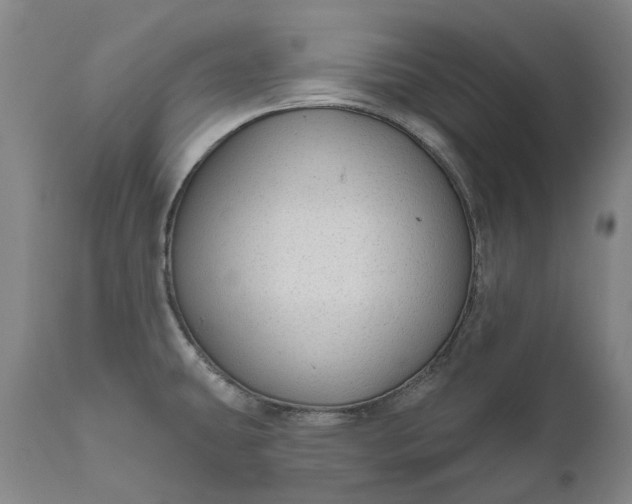 X0000111201431200907151403