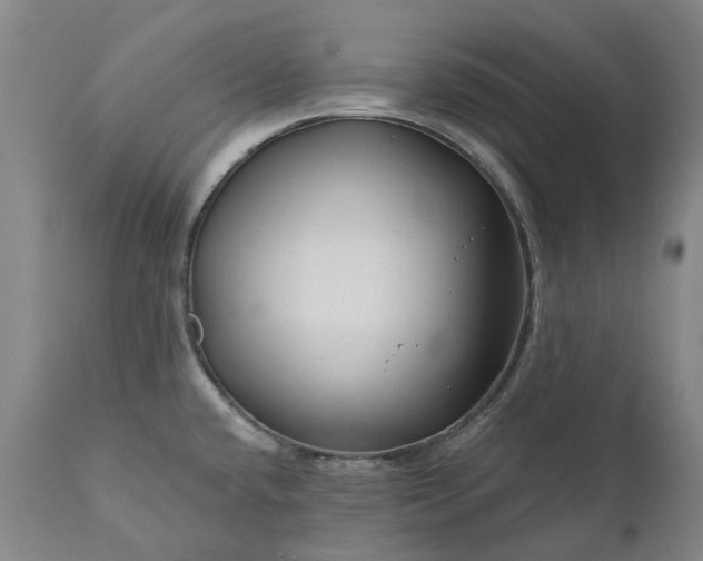 X0000111201432200907151403