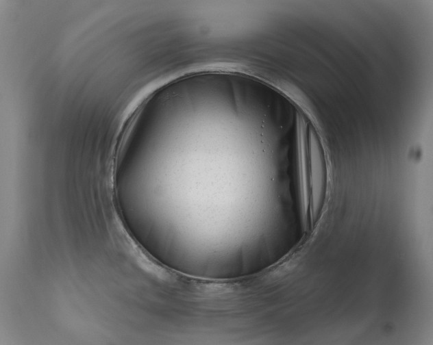 X0000111201436200907151403