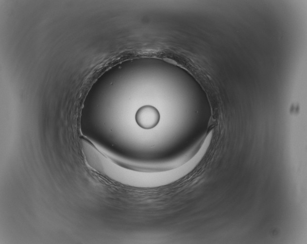 X0000111201441200907151402