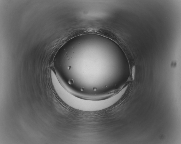 X0000111201443200907151402