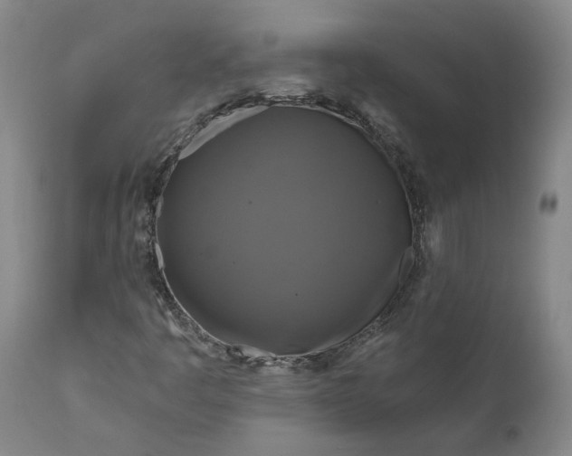 X0000111201445200907151402