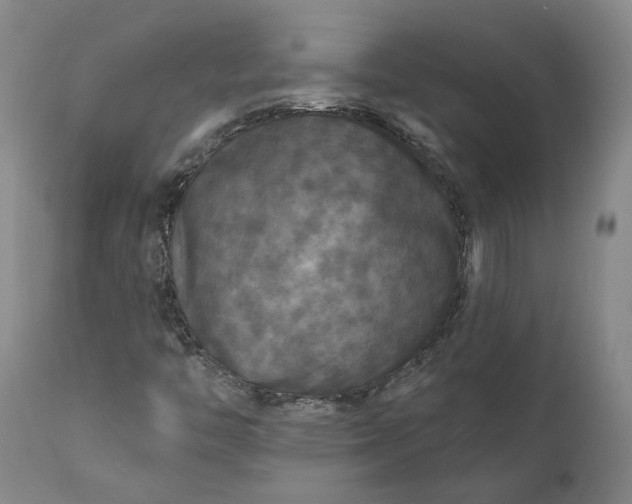 X0000111201446200907151402