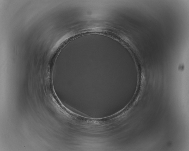 X0000111201450200907151402