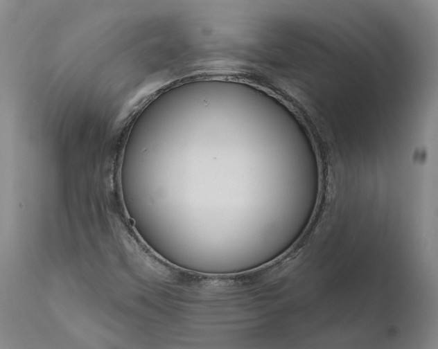 X0000111201451200907151402