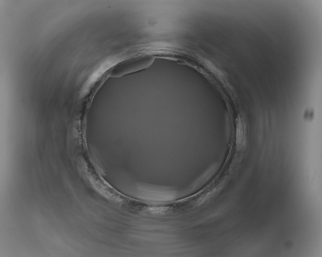 X0000111201453200907151402