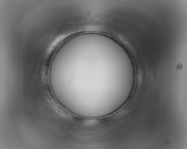 X0000111201454200907151402