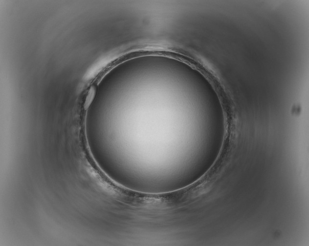 X0000111201456200907151402