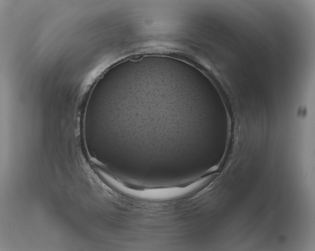 X0000111201459200907151402